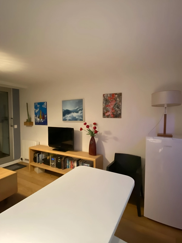 Pigment Matiere Peinture Interieure Vannes Artisan Peintre 1