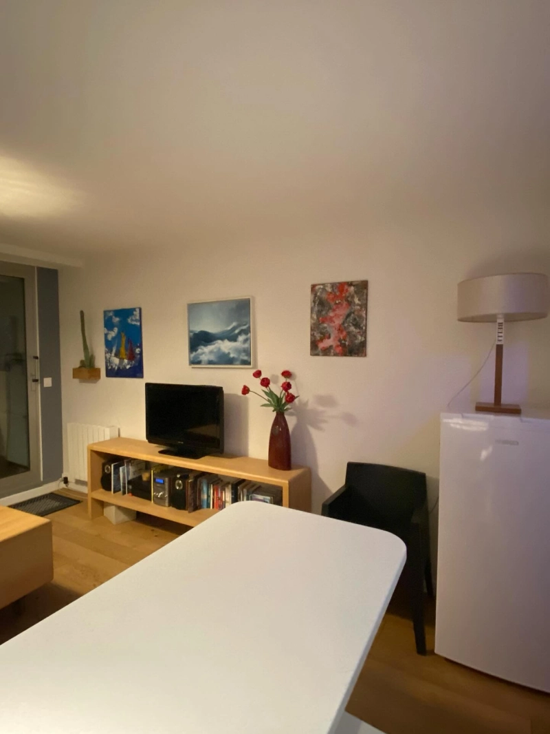 Pigment Matiere Peinture Interieure Vannes Realisation 3