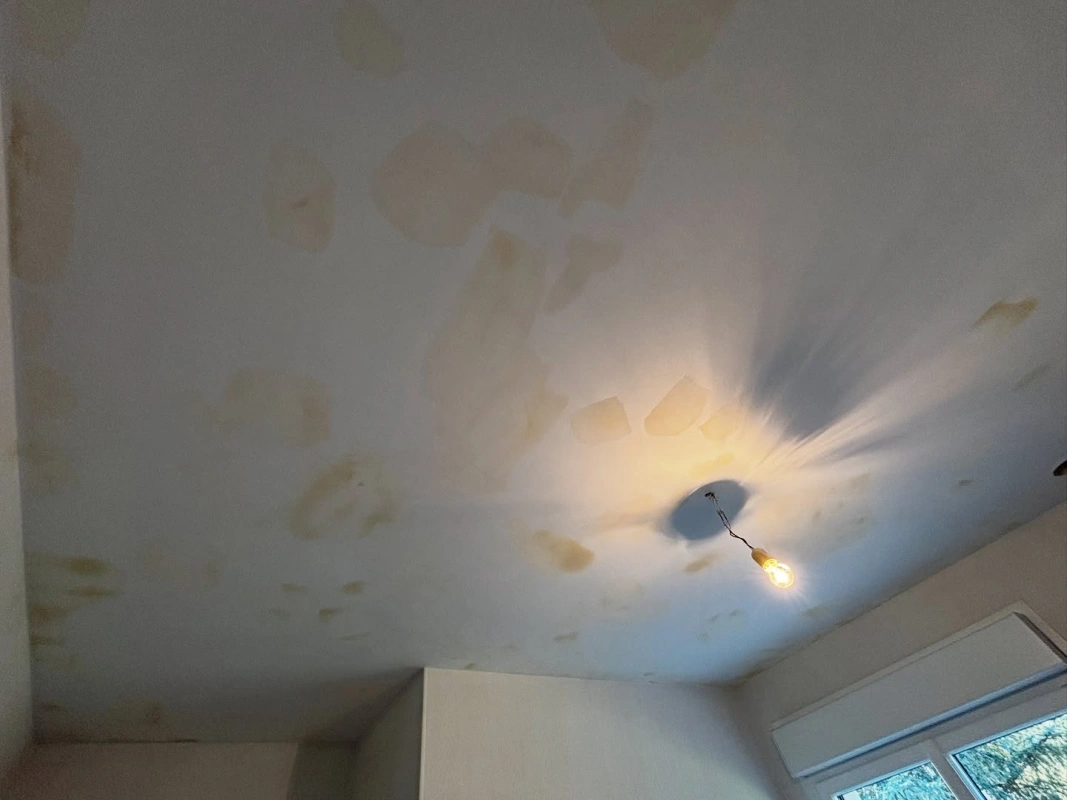 Pigment Matiere Peinture Interieure Vannes Realisation 9